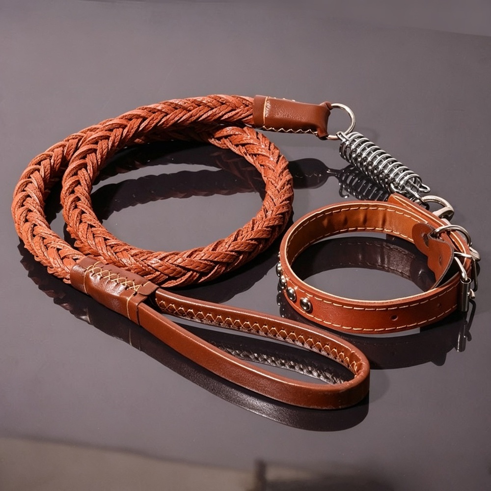 Braided Brown Leather Dog Leash and Collar Set - Brown